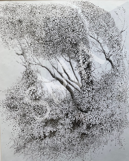 Read more about the article Gallery added for Jim Hibbert