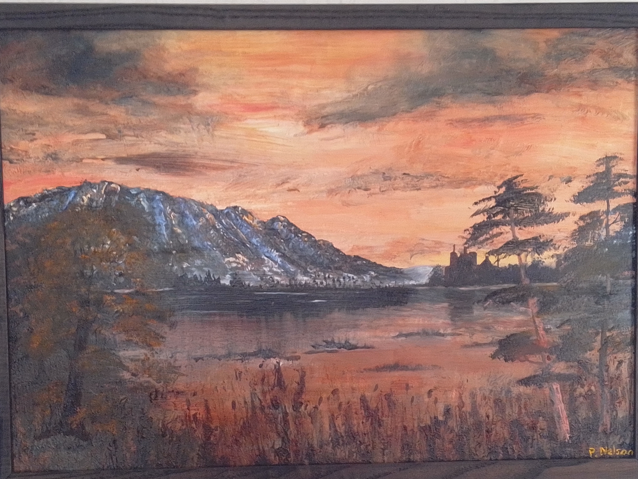 Read more about the article Gallery added for Pam Nelson