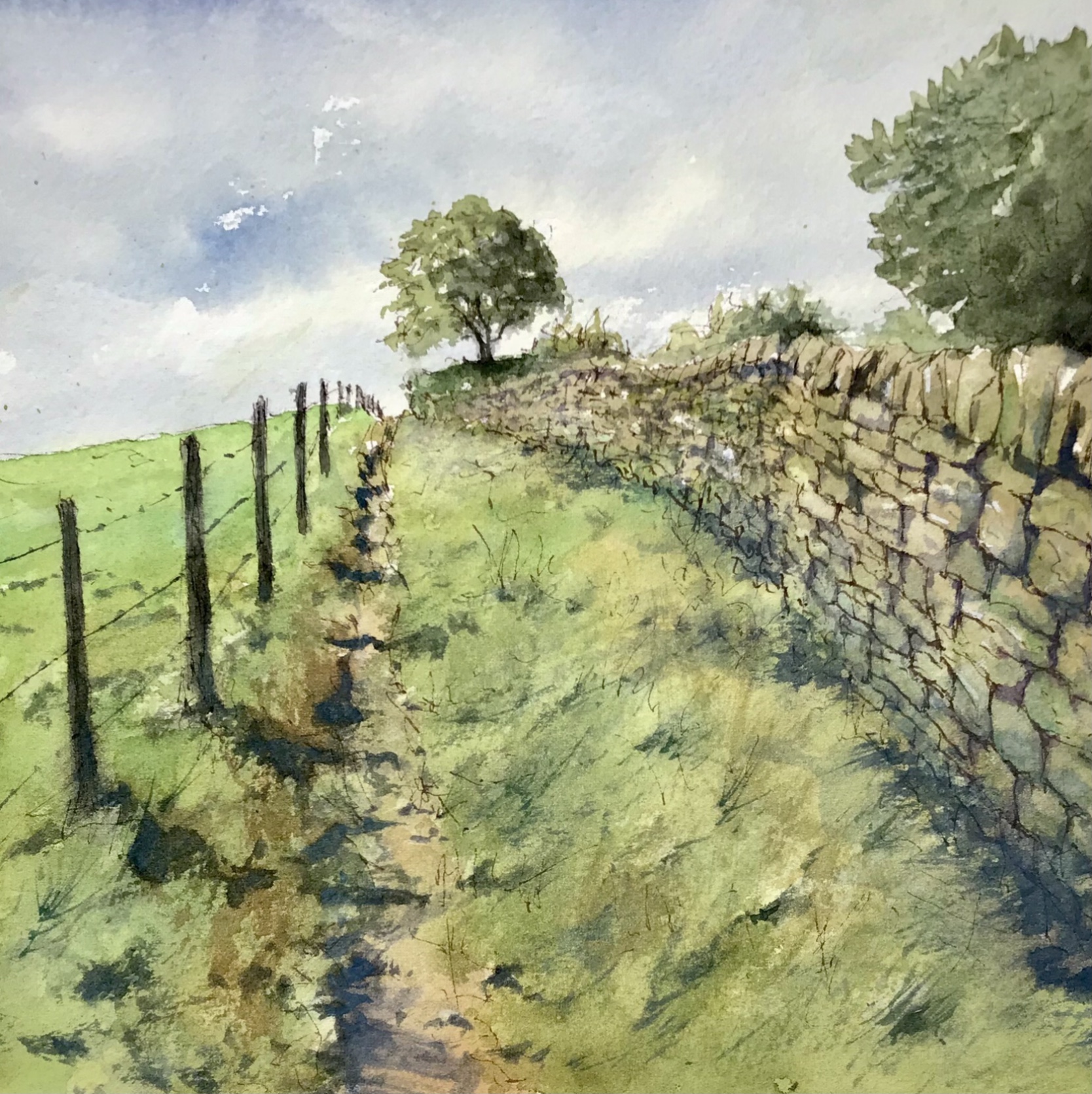 Read more about the article Gallery added for David Steeden