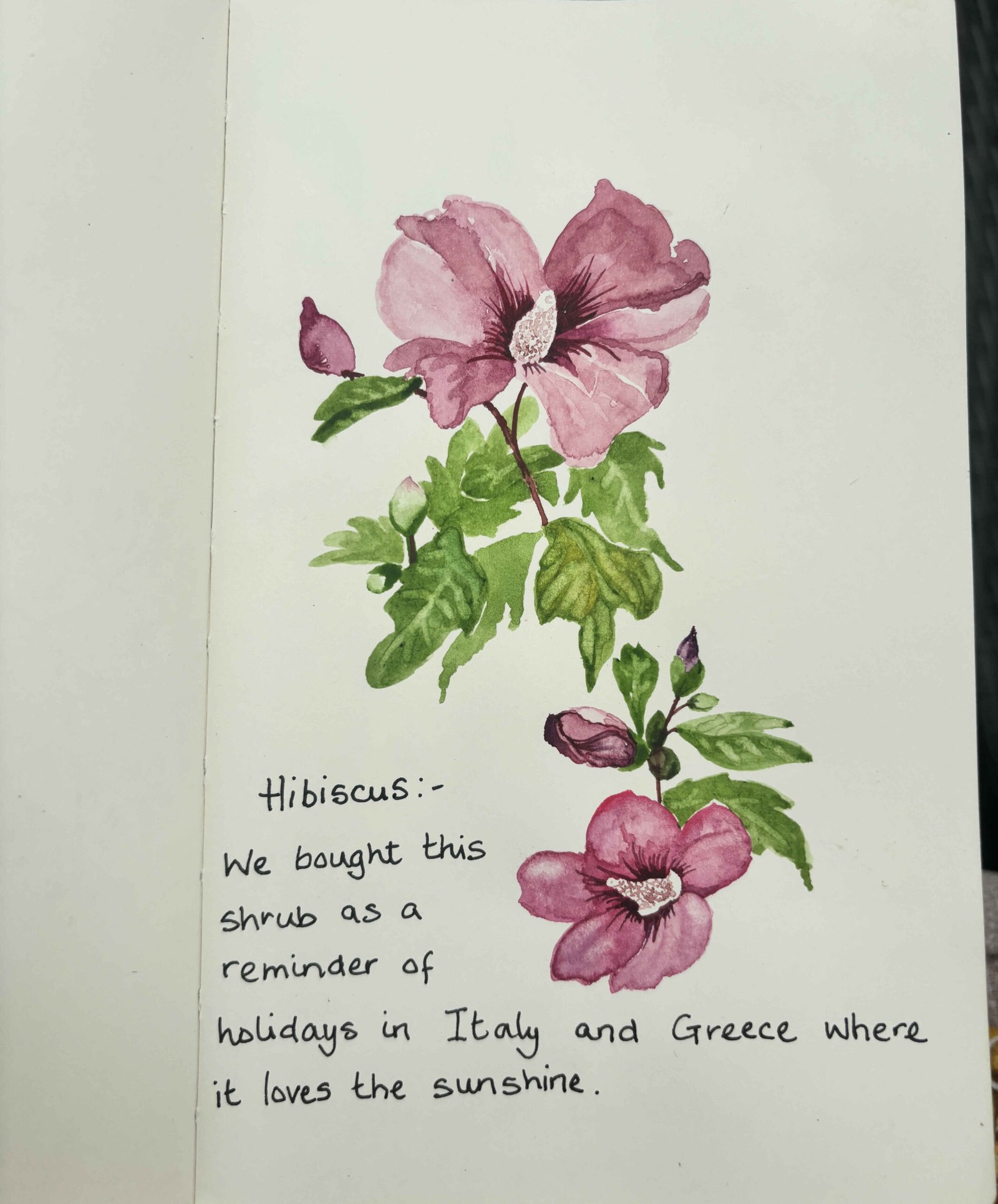 You are currently viewing A flower every day for a month!